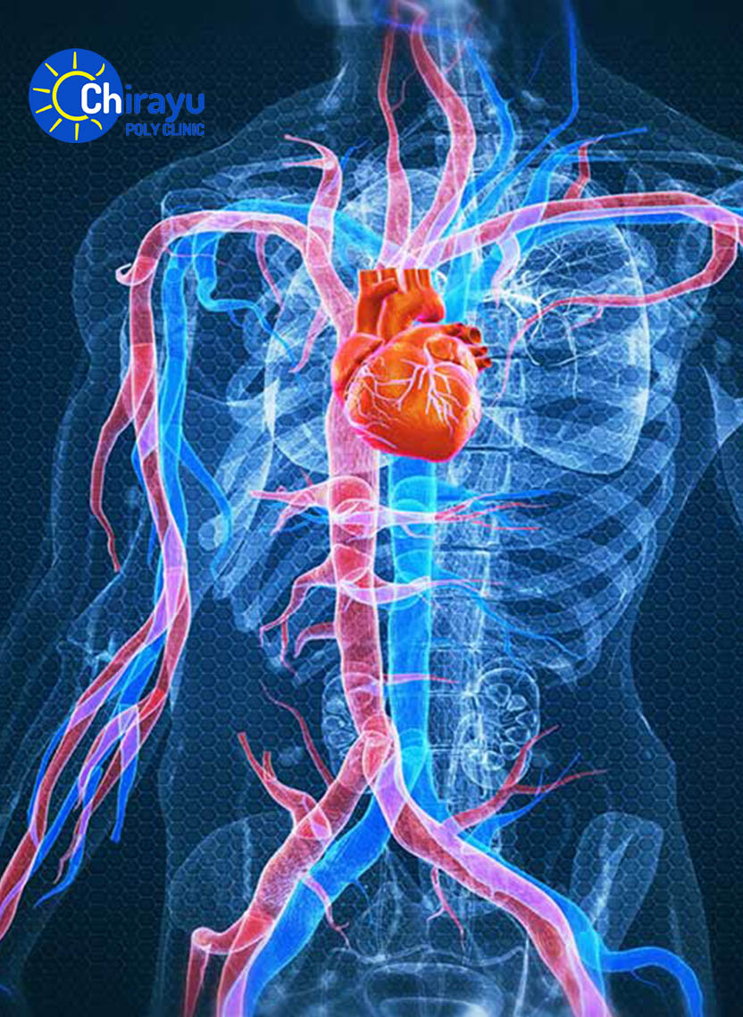 Heart & Vascular Care Services