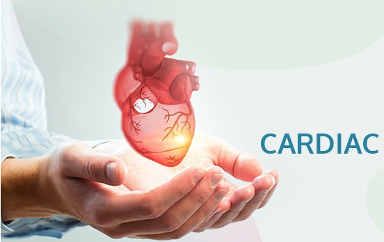 Cardiology Services