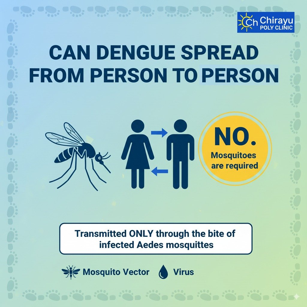Can Dengue Spread from Person to Person?